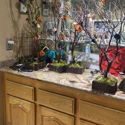 Center Pieces