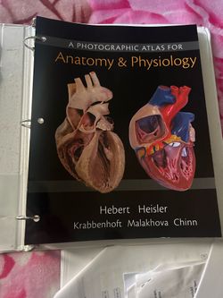 Anatomy book