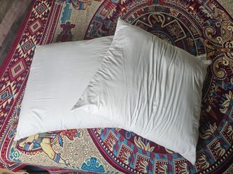 2 BIG Square Pillows Each. 6.00 