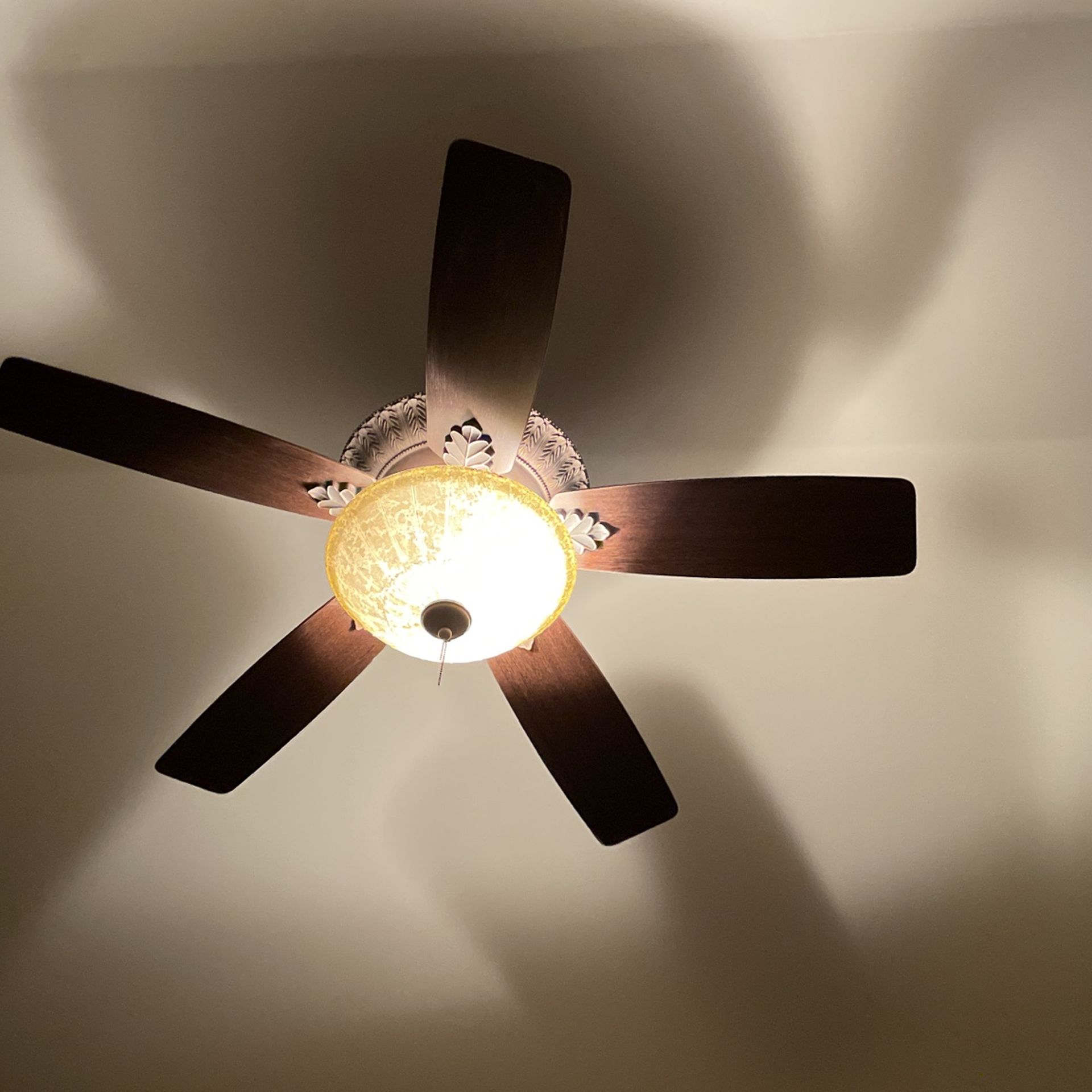 Ceiling Fan