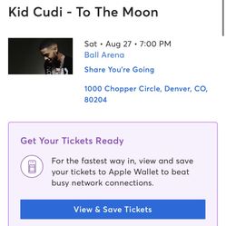 Kid Cudi Concert