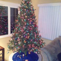 7' spruce lit tree