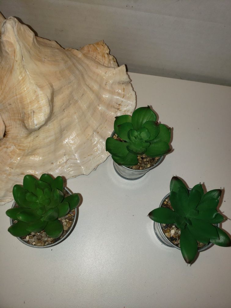 Faux Mini succulent trio
