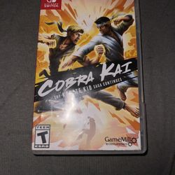 Cobra Kai Nintendo Switch Game