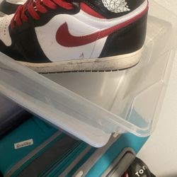 Size 11
