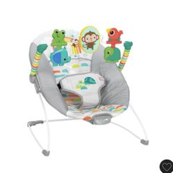 Baby Bouncer 