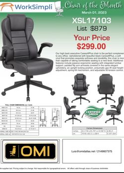 Executive Office Chair