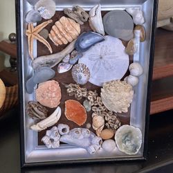 Coastal crabs- Hanging Breach Decor