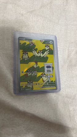Pidgey