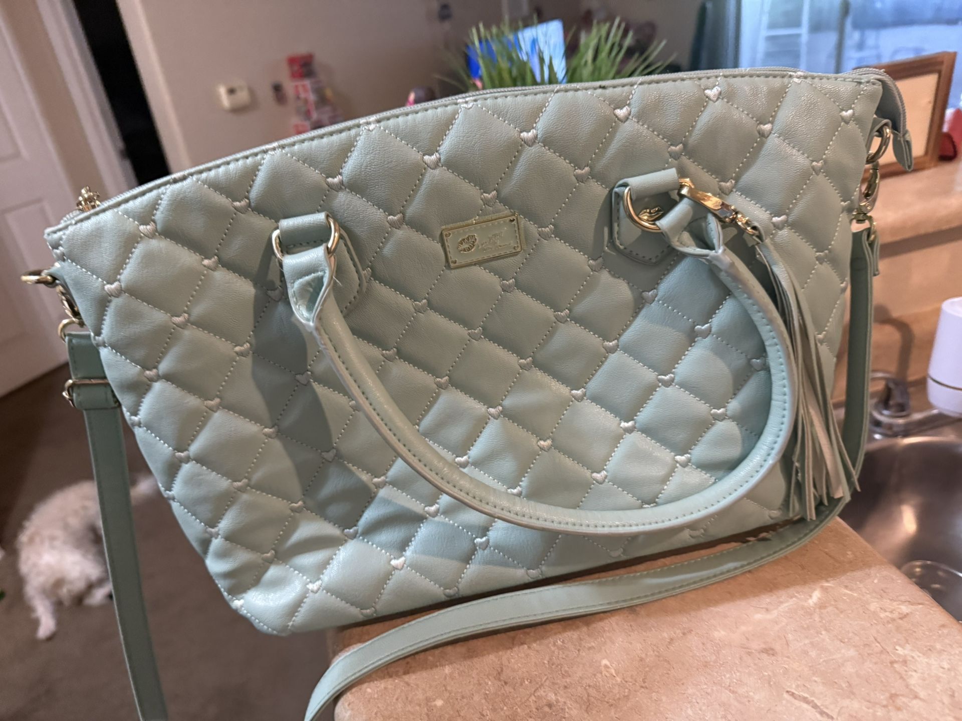 Betsy Johnson Purse