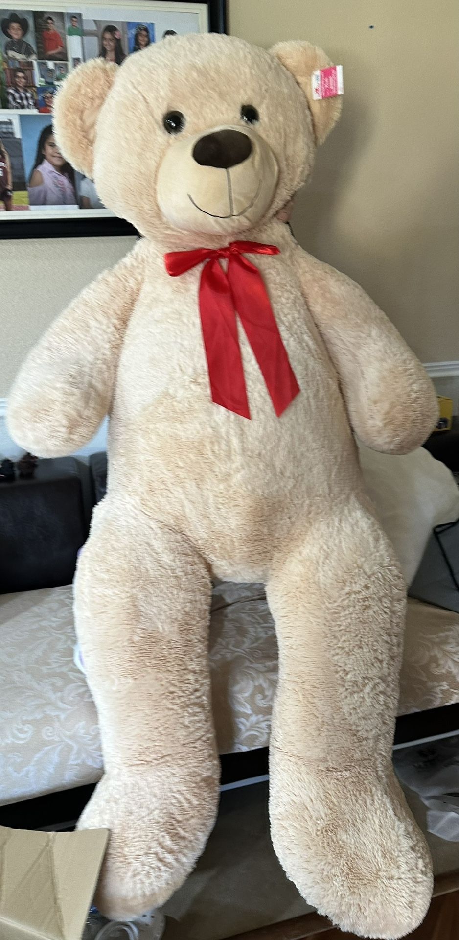 6 Foot Teddy Bear