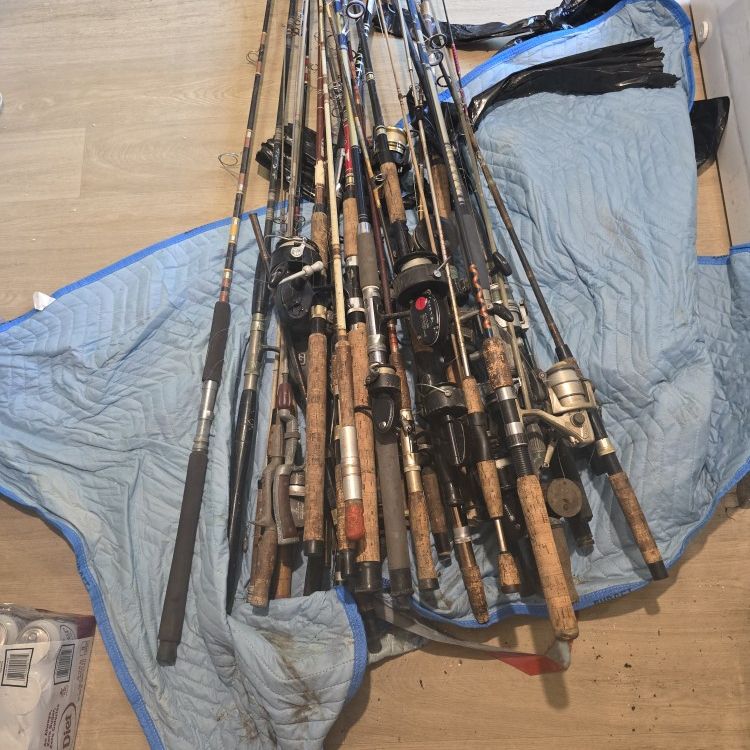Lot Of Rods And reels
