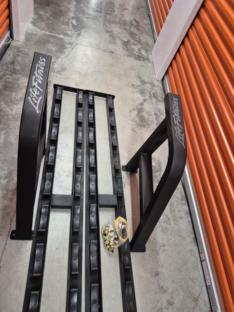 Life Fitness Dumbbells Rack.