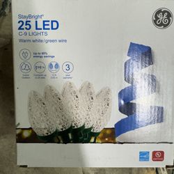 Christmas Lights C-9 Warm White