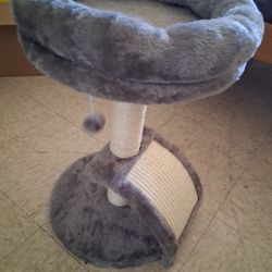 Kitten play scratcher?