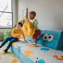 2 Nugget covers - Elmo and Cookie Monster