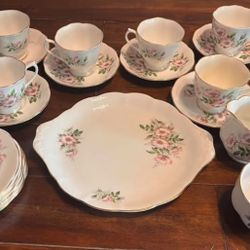 Vintage Royal Albert Bone China Wild Rose ‘Friendship’ -21 pieces