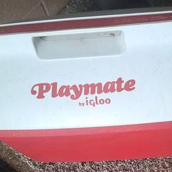 Medium Igloo Cooler Playmate
