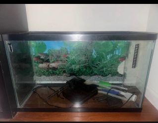 30G  Fish Tank + Other Supplies