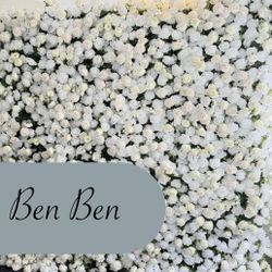 5D Luxury Flower Wall Rental 