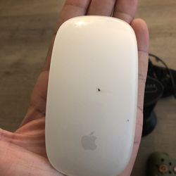 Apple Mouse