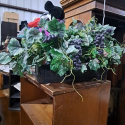 Plant Decor 