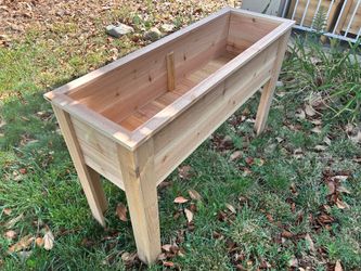 Raised Garden Beds 🥒🌼🌶️🥦🌵🪴