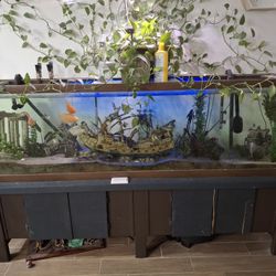 150 Gallon Fresh Water Fish Tank