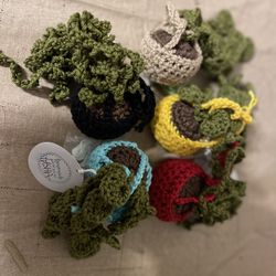 Hanging Crocheted Plants 