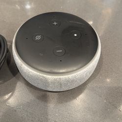 Amazon Alexa, Echo Dot