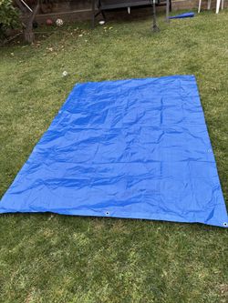 Blue Tarts For Sale! 8x7