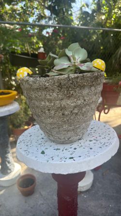 Hypertufa hand made pot. Unique and absolutely beautiful.
