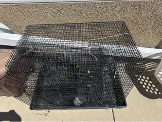 Bird cage $40