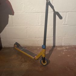 Professional Scooter
