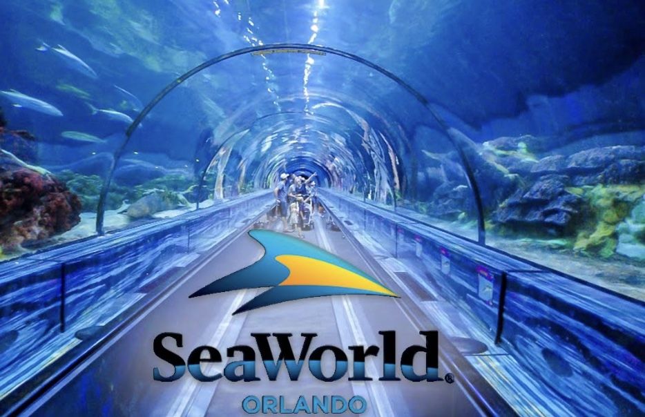 SeaWorld San Diego!!!!
