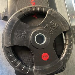 45 Lb Olympic Plate