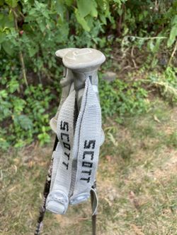 Scott Hiking Stick