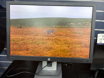 HP EliteDisplay Monitor 24”
