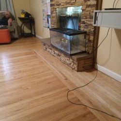 20 Gallon Reptile Tank 