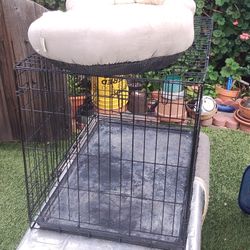Pet Kennel