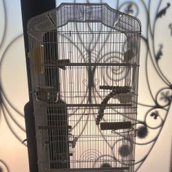 Large Bird Cage 64 Inch