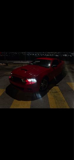 2014 Ford Mustang