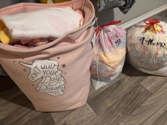 Baby Girl Clothing Lot Bundle