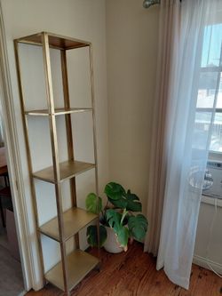 Shelf gold