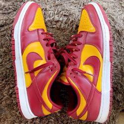 Nike Lowtop Dunks 