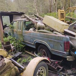 1981 Camper Special ,1 Owner