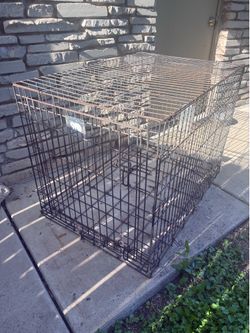 Large Kennel