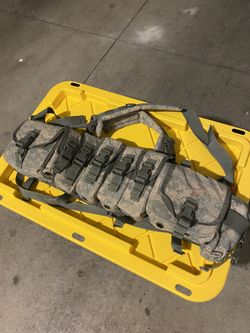 Tag Chest Rig