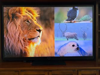 Sharp Aquino’s 70” TV with remote