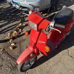 Honda Spree